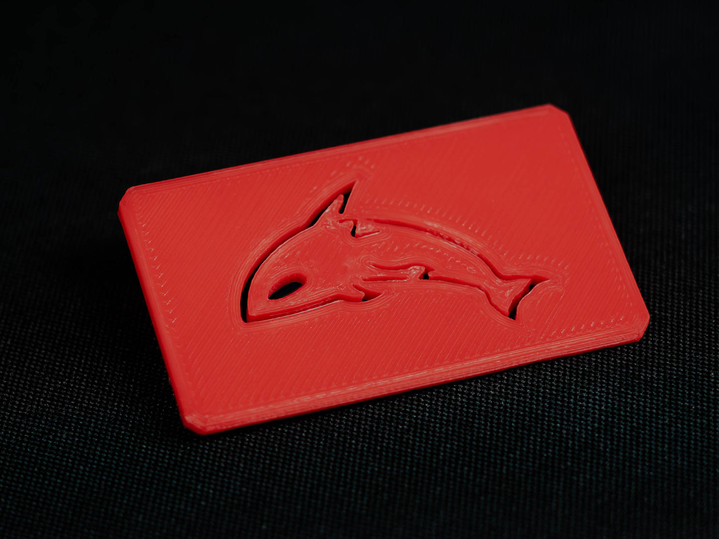 Spare Case Lid