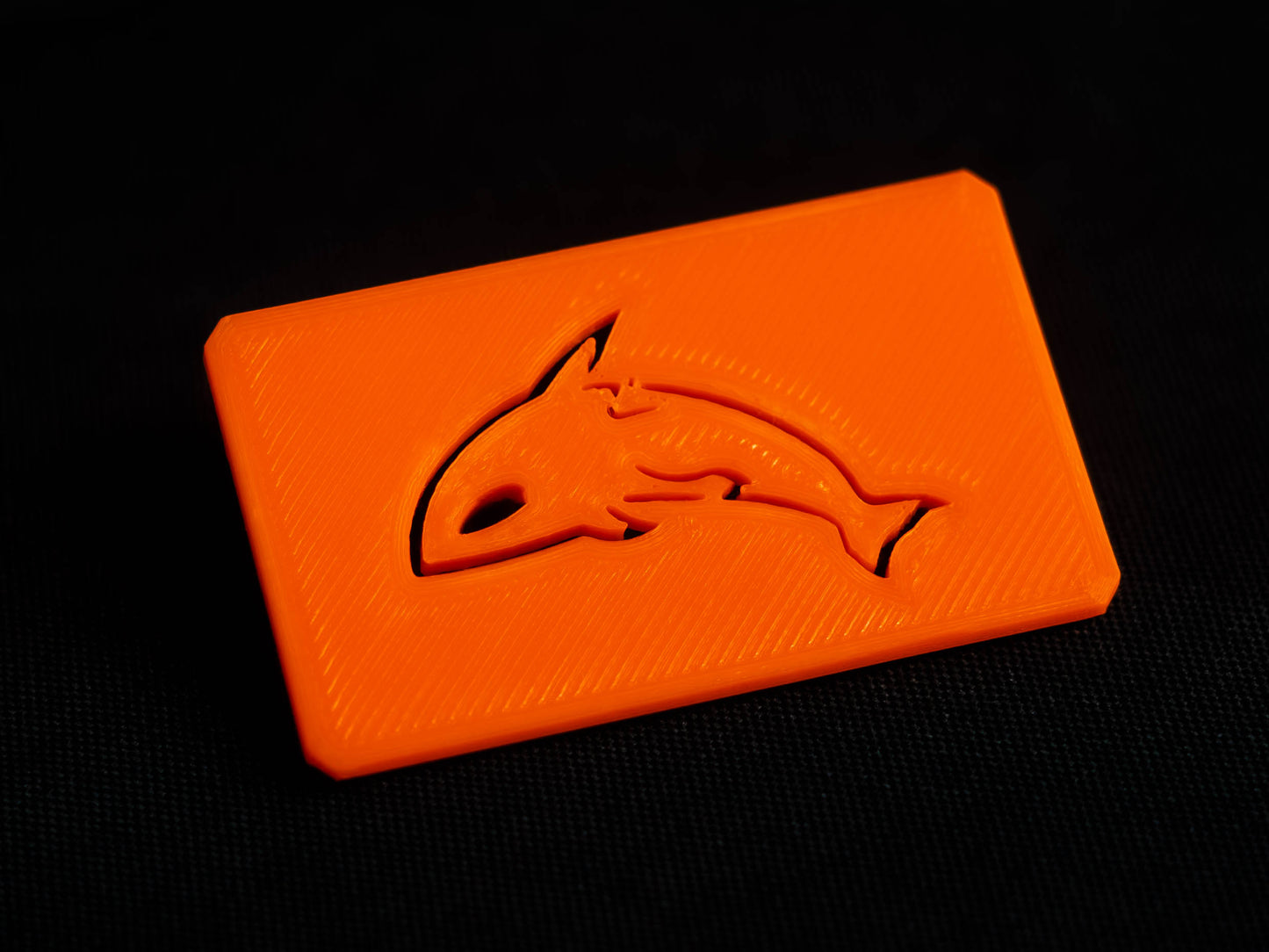 Spare Case Lid