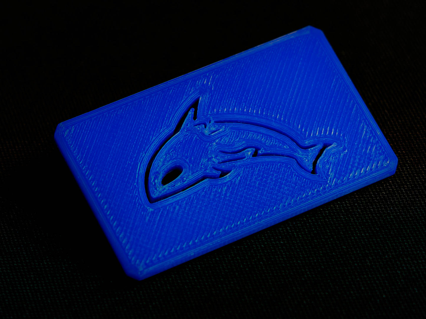 Spare Case Lid
